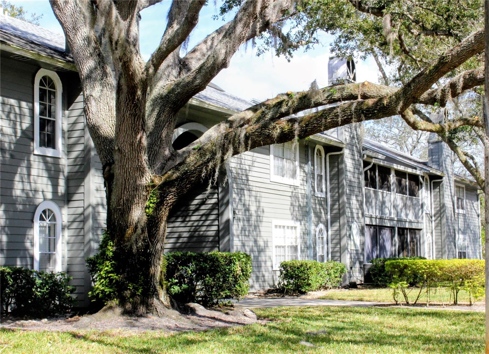 Details for 11808 Skylake Place D, TAMPA, FL 33617