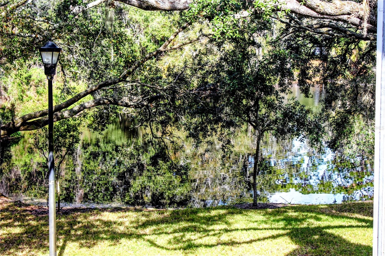 Image 2 of 22 For 11808 Skylake Place D