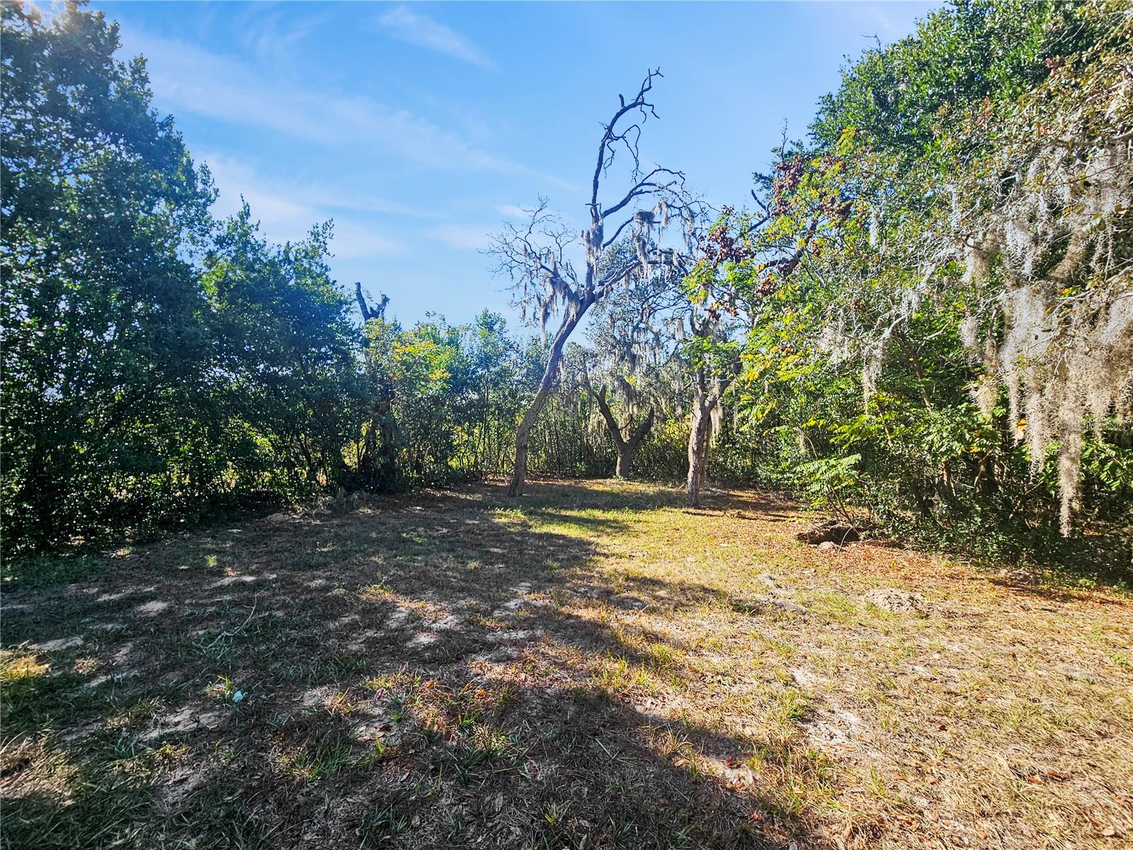 Image 17 of 18 For Address Not Provided