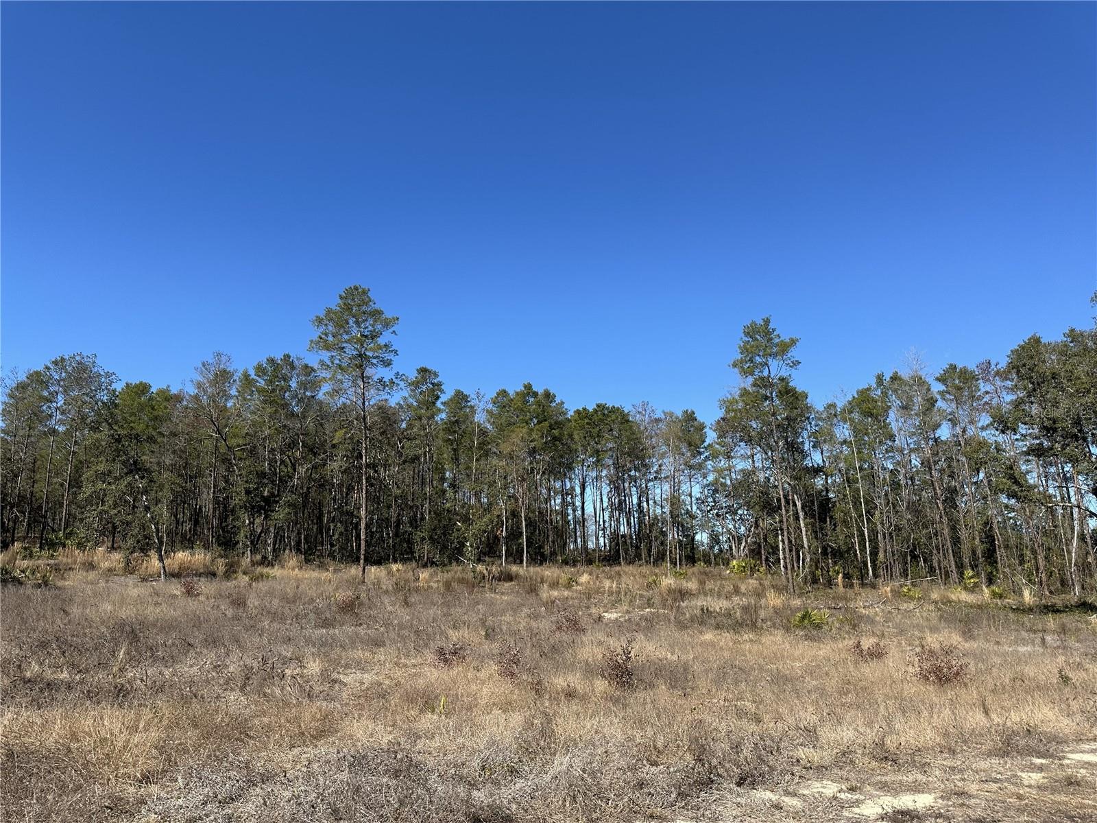 Details for 13331 Haven Trail, WEEKI WACHEE, FL 34614