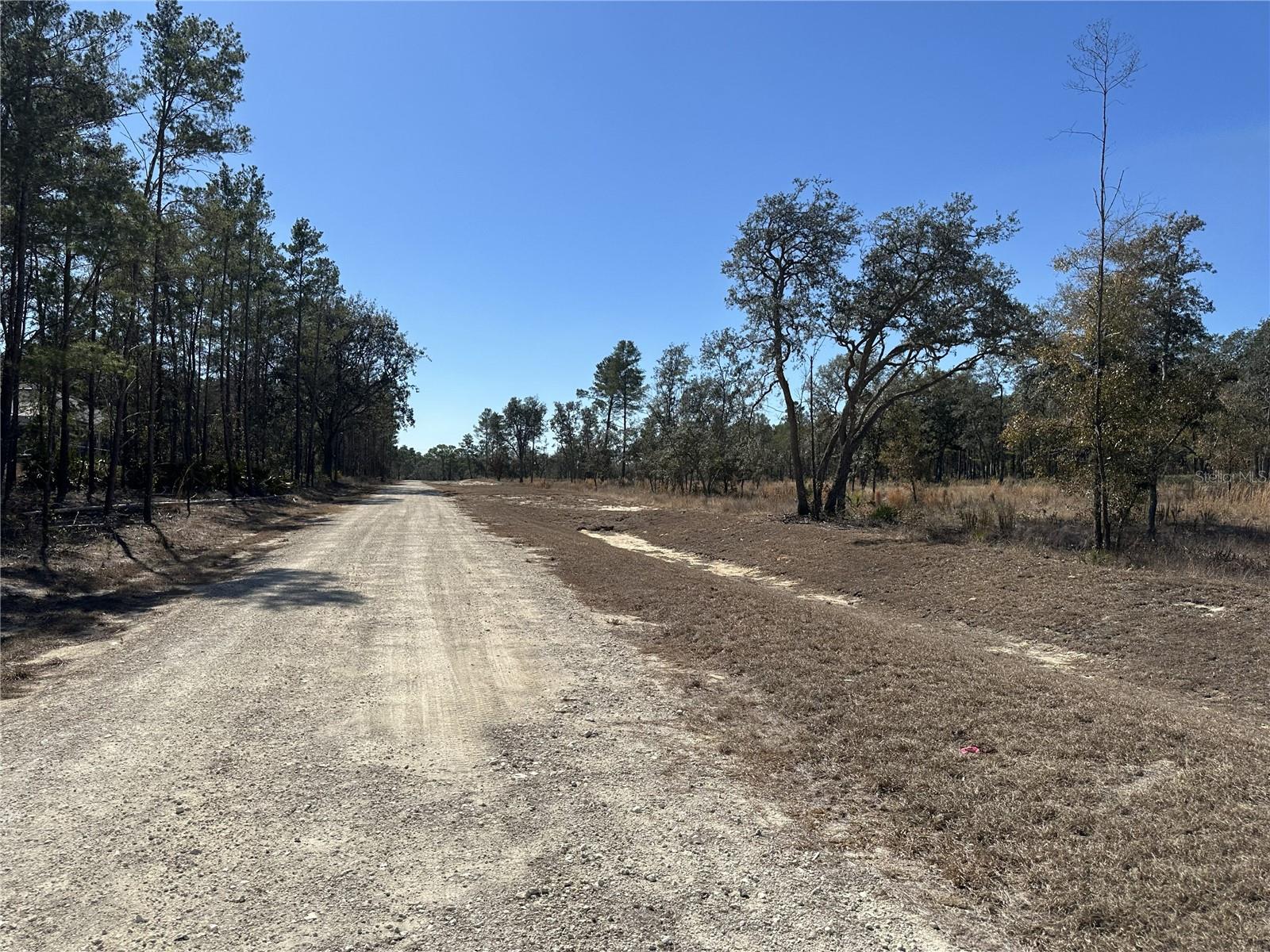 Image 3 of 6 For 13331 Haven Trail