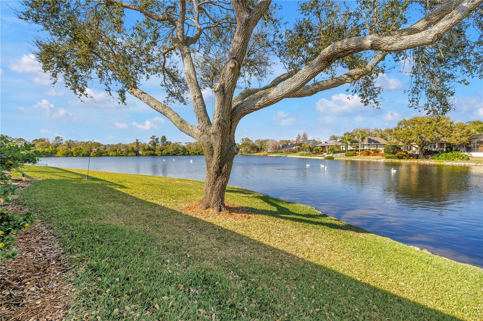 Image 14 of 38 For 771 Suwannee Court Ne