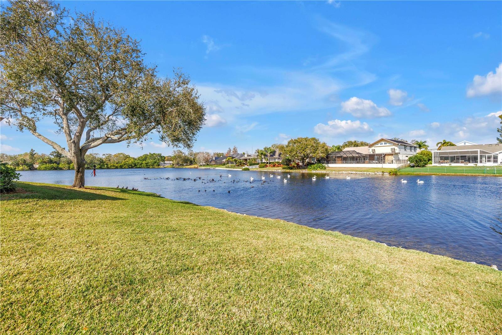 Image 15 of 38 For 771 Suwannee Court Ne