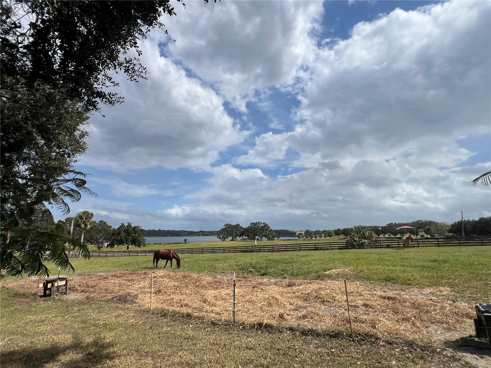 Image 11 of 28 For 32935 Jesse Jones Avenue