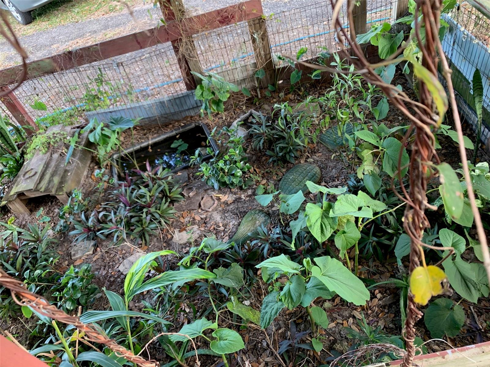 Image 16 of 28 For 32935 Jesse Jones Avenue