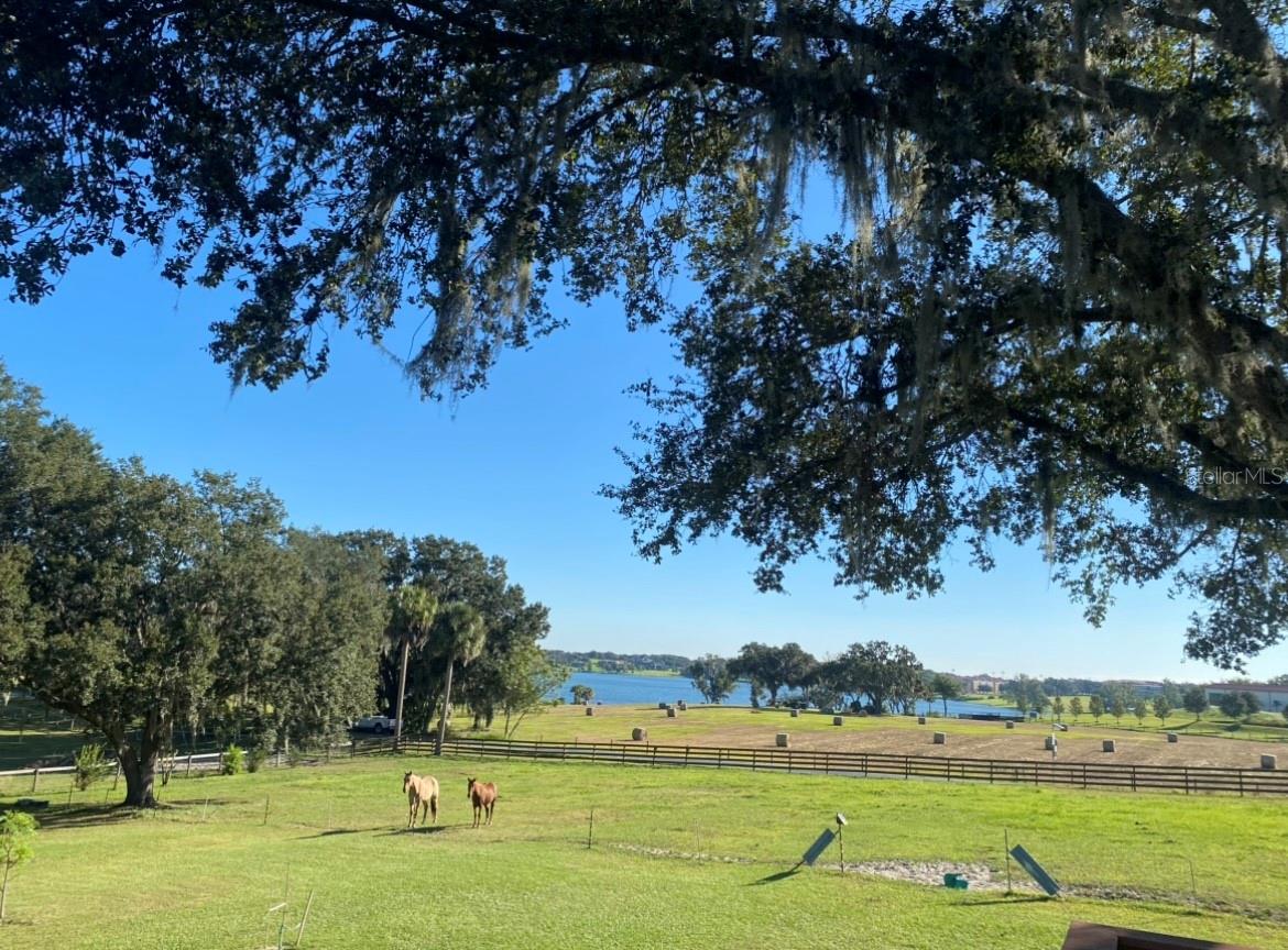 Image 18 of 28 For 32935 Jesse Jones Avenue