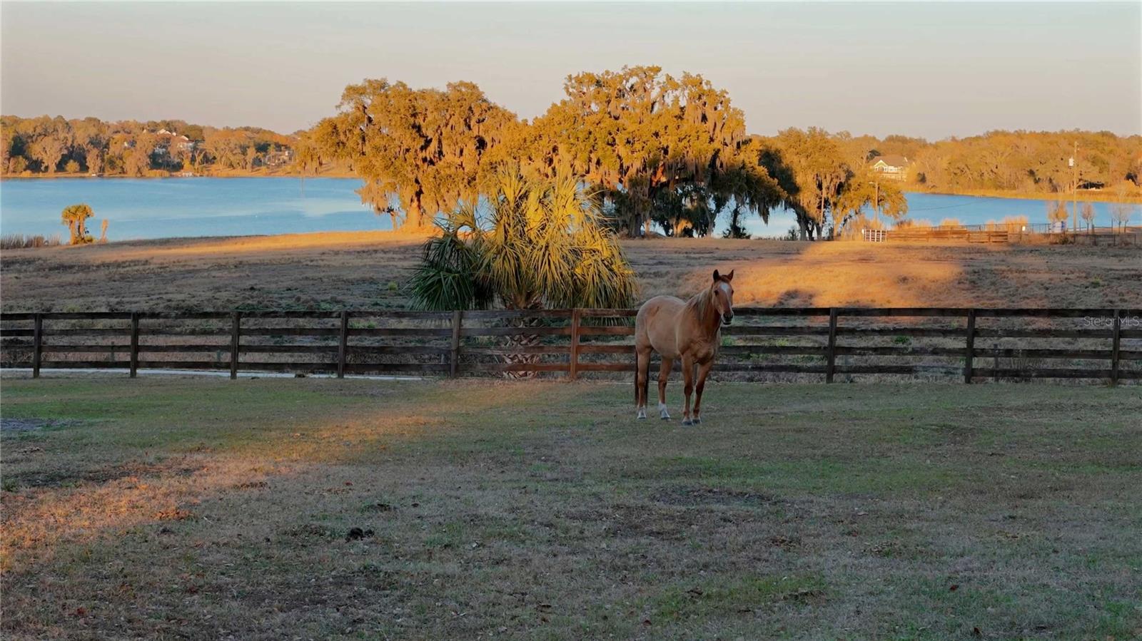 Image 3 of 28 For 32935 Jesse Jones Avenue