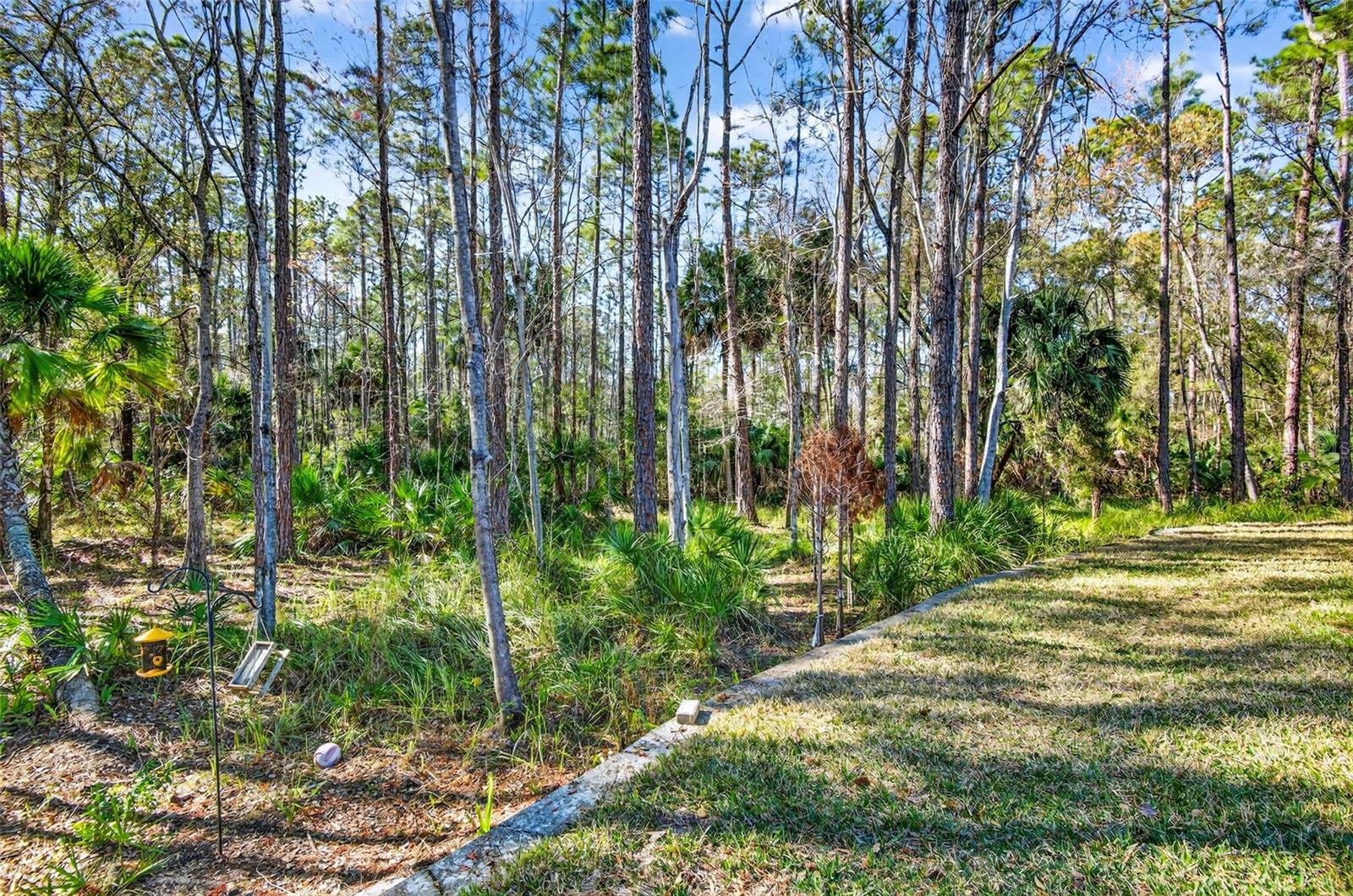 Image 67 of 77 For 6604 Portland Oak Court