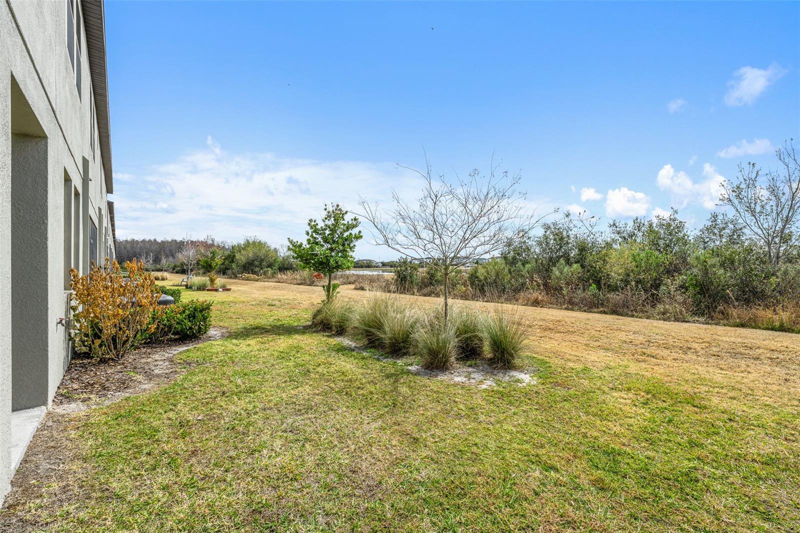 Image 38 of 41 For 31615 Blue Passing Loop