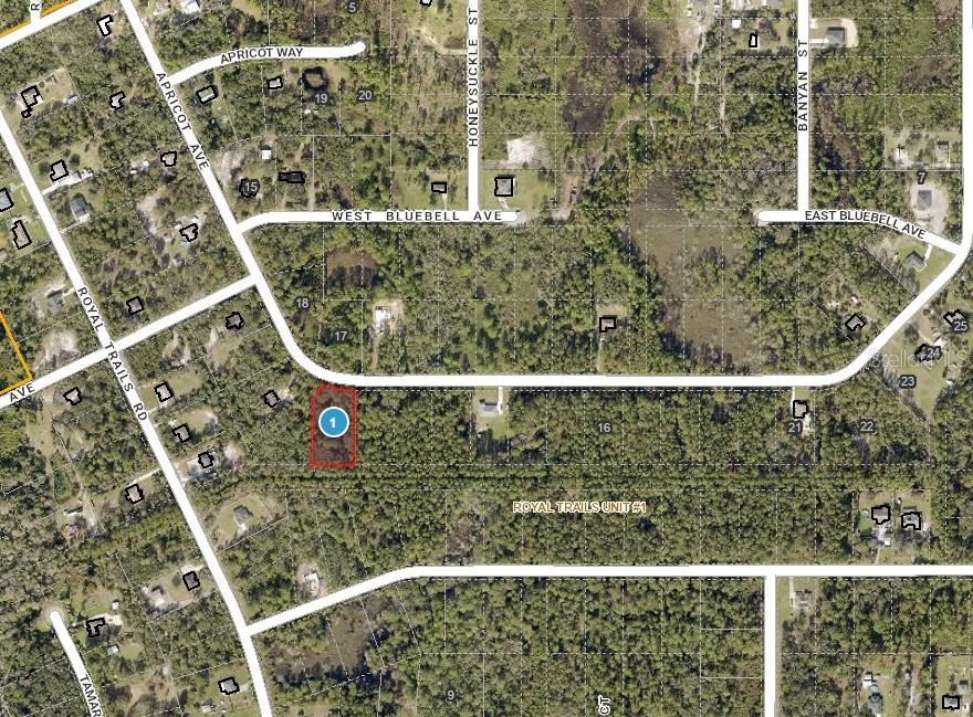 Image 2 of 14 For Apricot Avenue