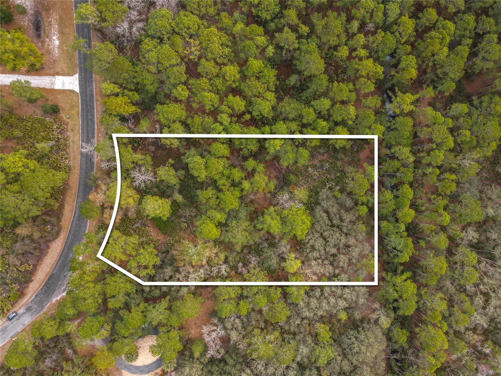 Image 5 of 14 For Apricot Avenue