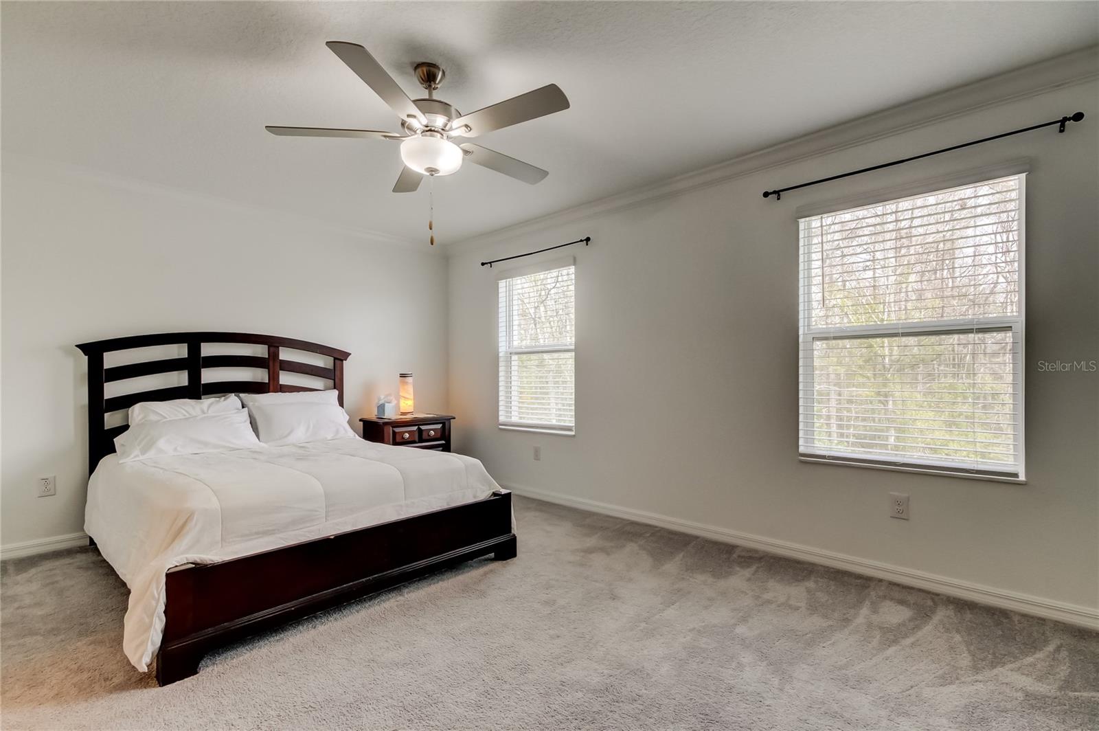 Image 29 of 86 For 17567 Nectar Flume Drive