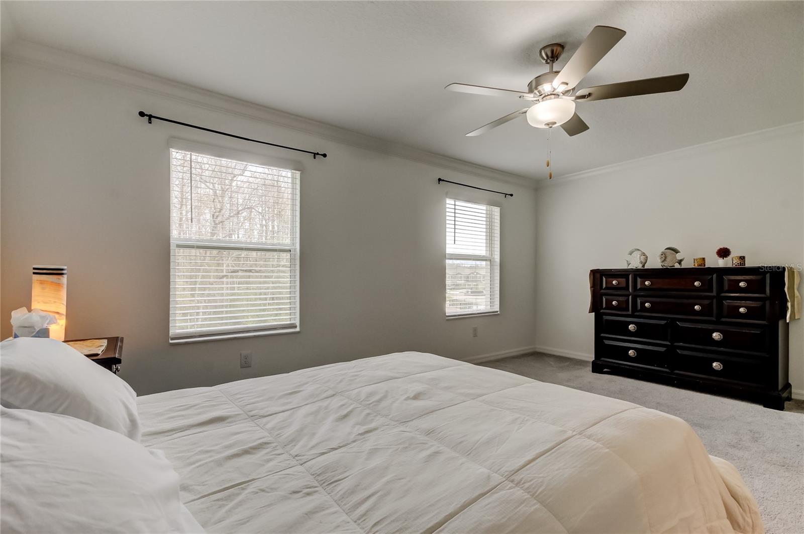 Image 30 of 86 For 17567 Nectar Flume Drive