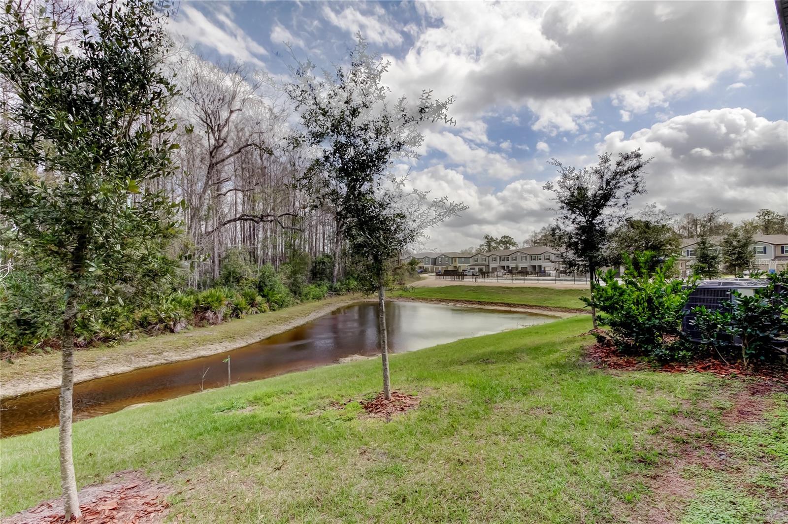 Image 50 of 86 For 17567 Nectar Flume Drive