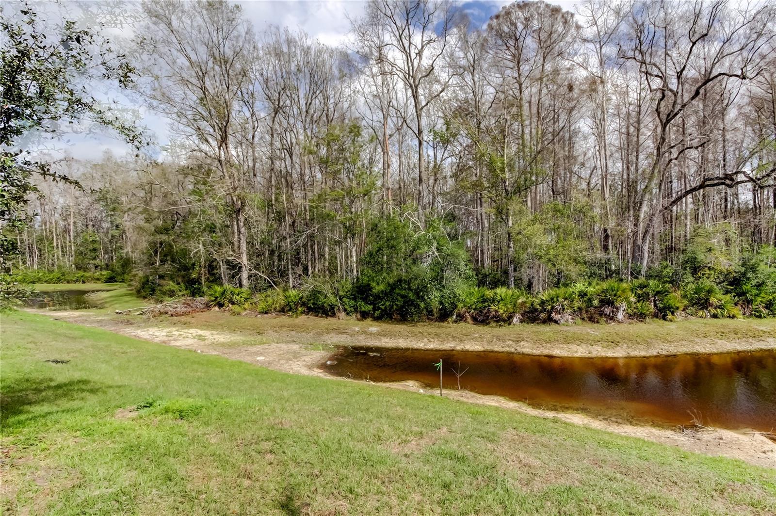 Image 51 of 86 For 17567 Nectar Flume Drive