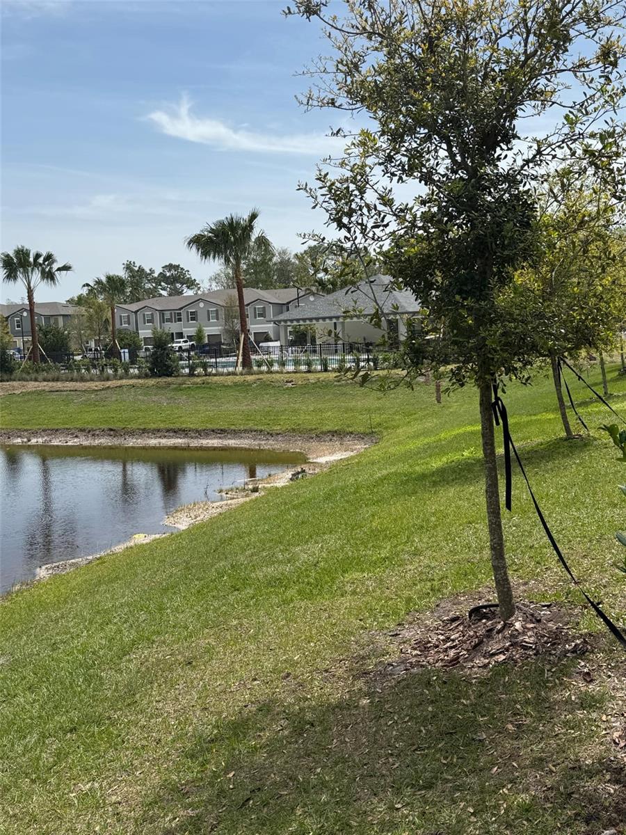 Image 81 of 86 For 17567 Nectar Flume Drive