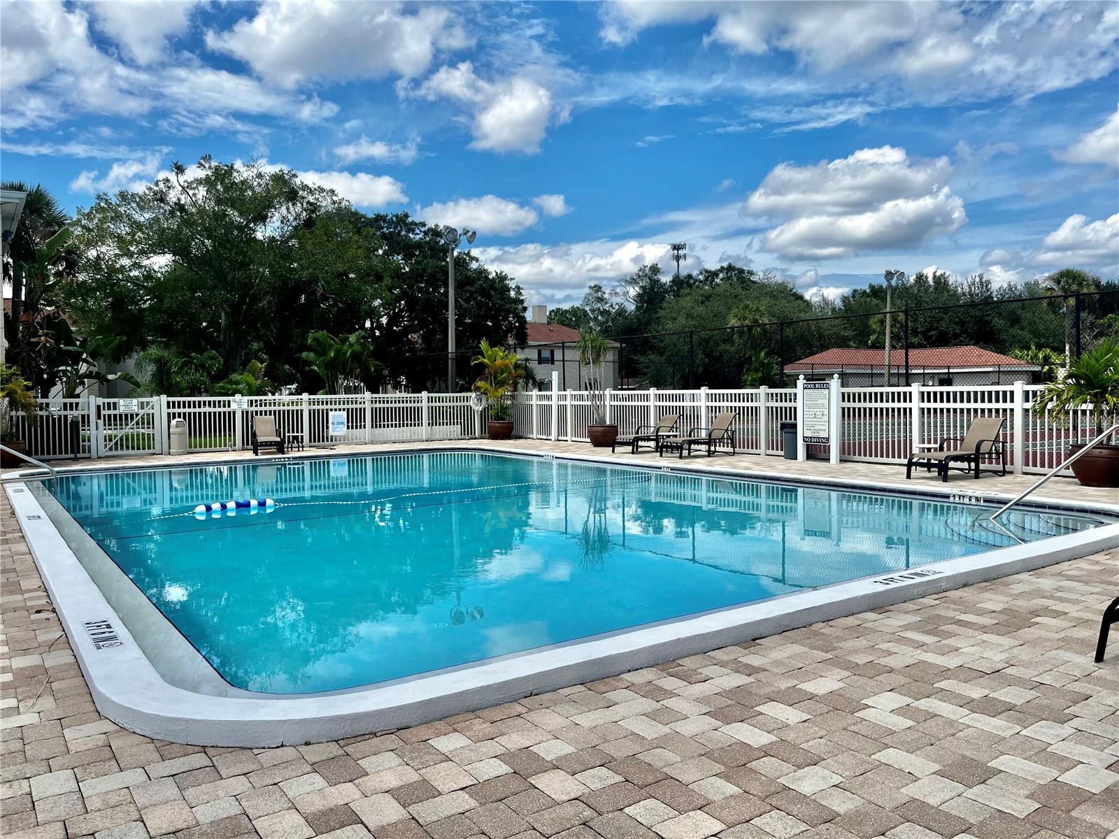 Image 25 of 31 For 10368 Carrollwood Lane 234