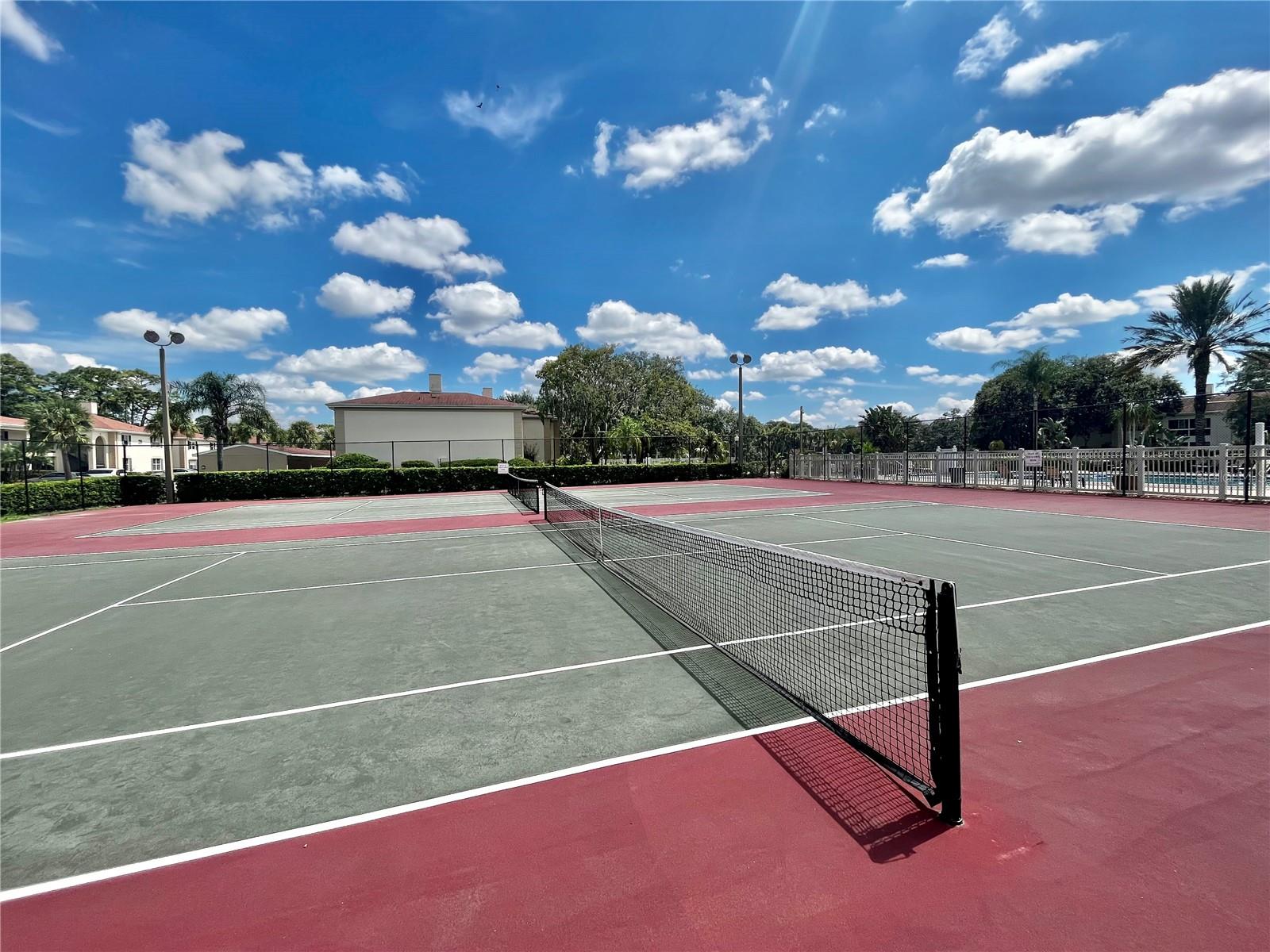 Image 31 of 31 For 10368 Carrollwood Lane 234