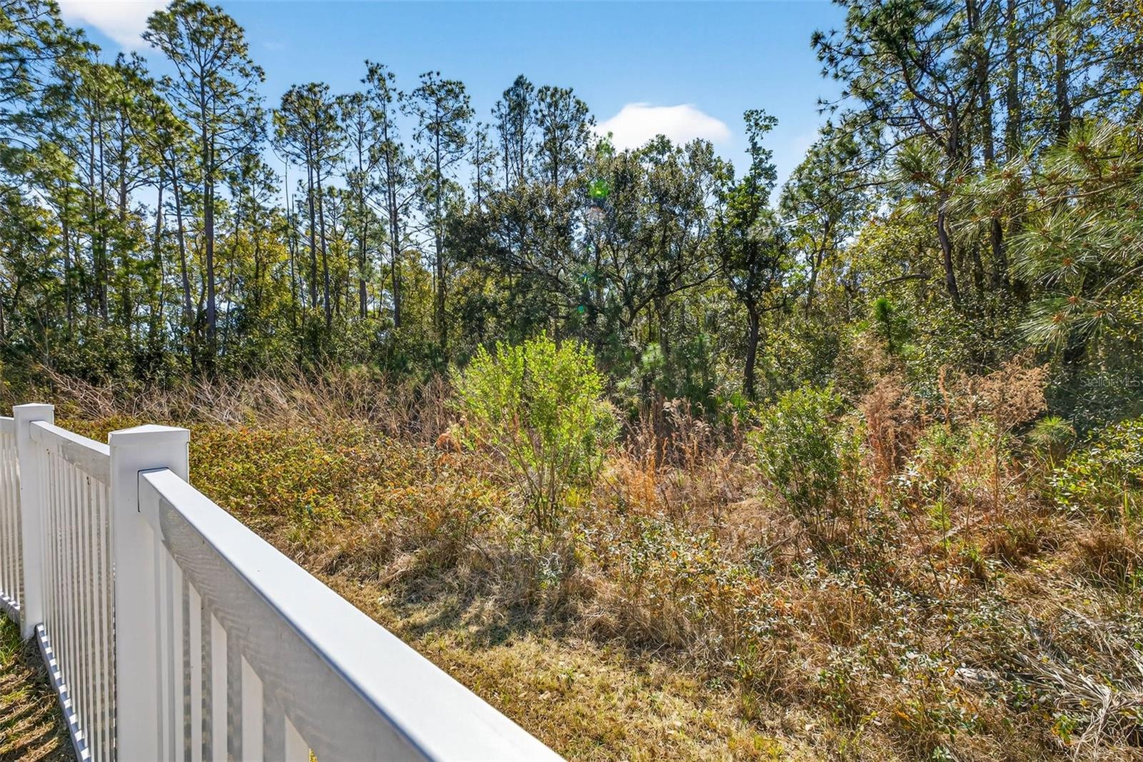 Image 54 of 59 For 6509 Wagon Trail Street