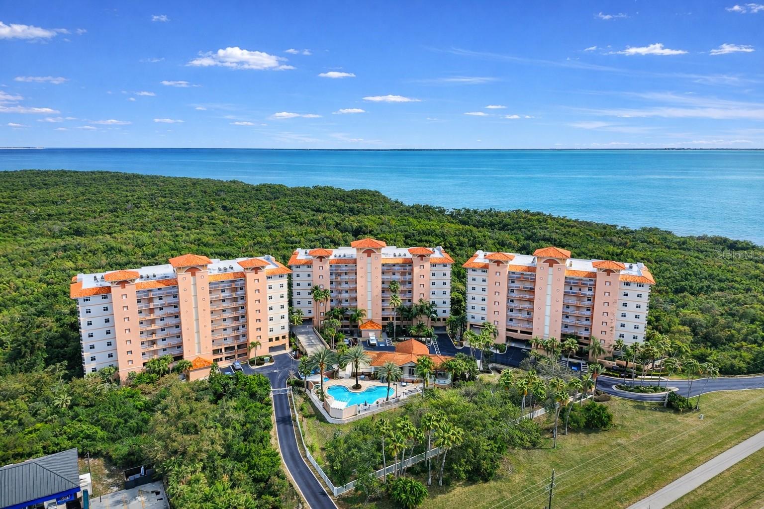 Listing photo id 50 for 12033 Gandy Boulevard N 133