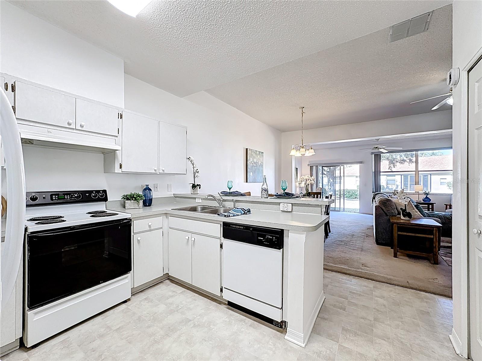 Image 18 of 30 For 1015 Radison Lake Court 65