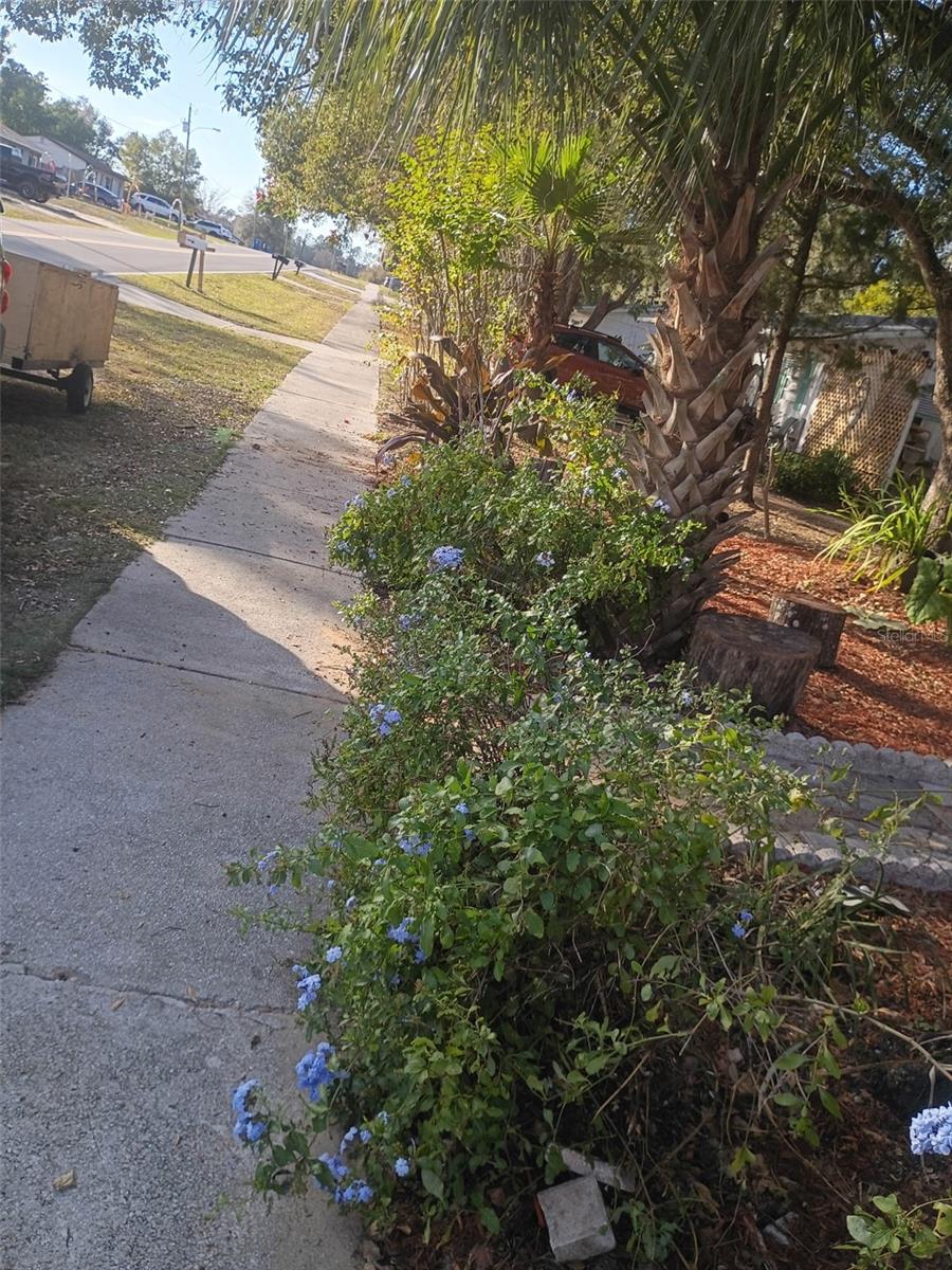 Image 3 of 9 For 27043 Roper Road