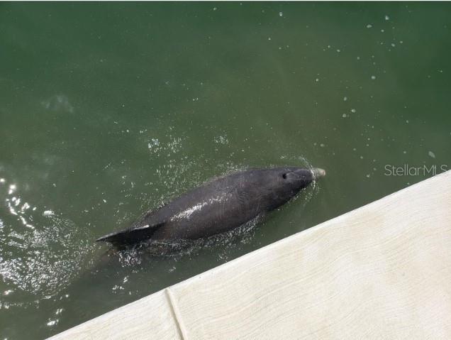 Image 58 of 66 For 5200 Brittany Drive S 1510