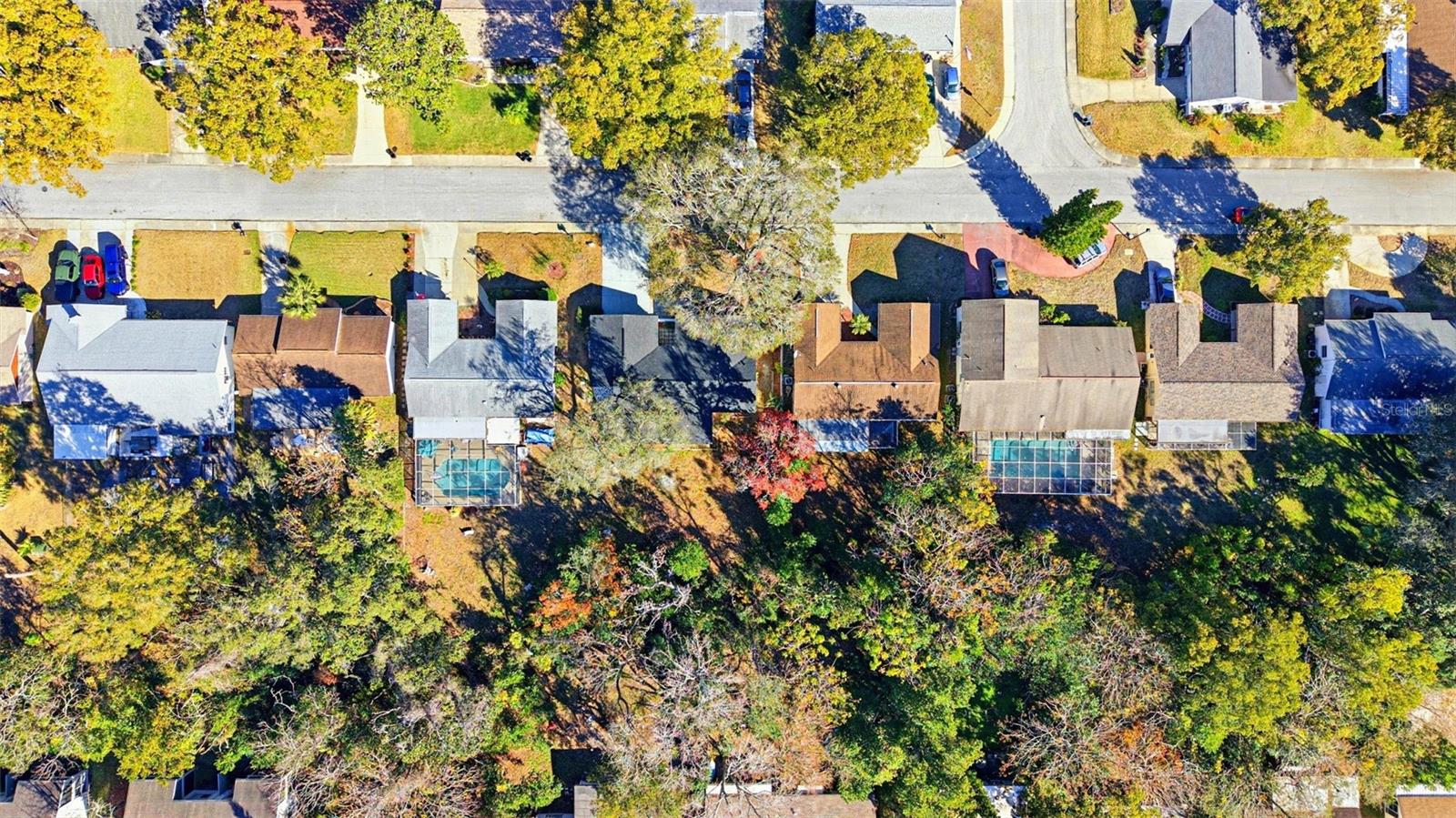 Image 49 of 64 For 12303 Camp Creek Lane