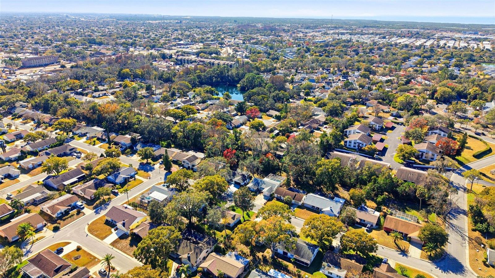 Image 51 of 64 For 12303 Camp Creek Lane