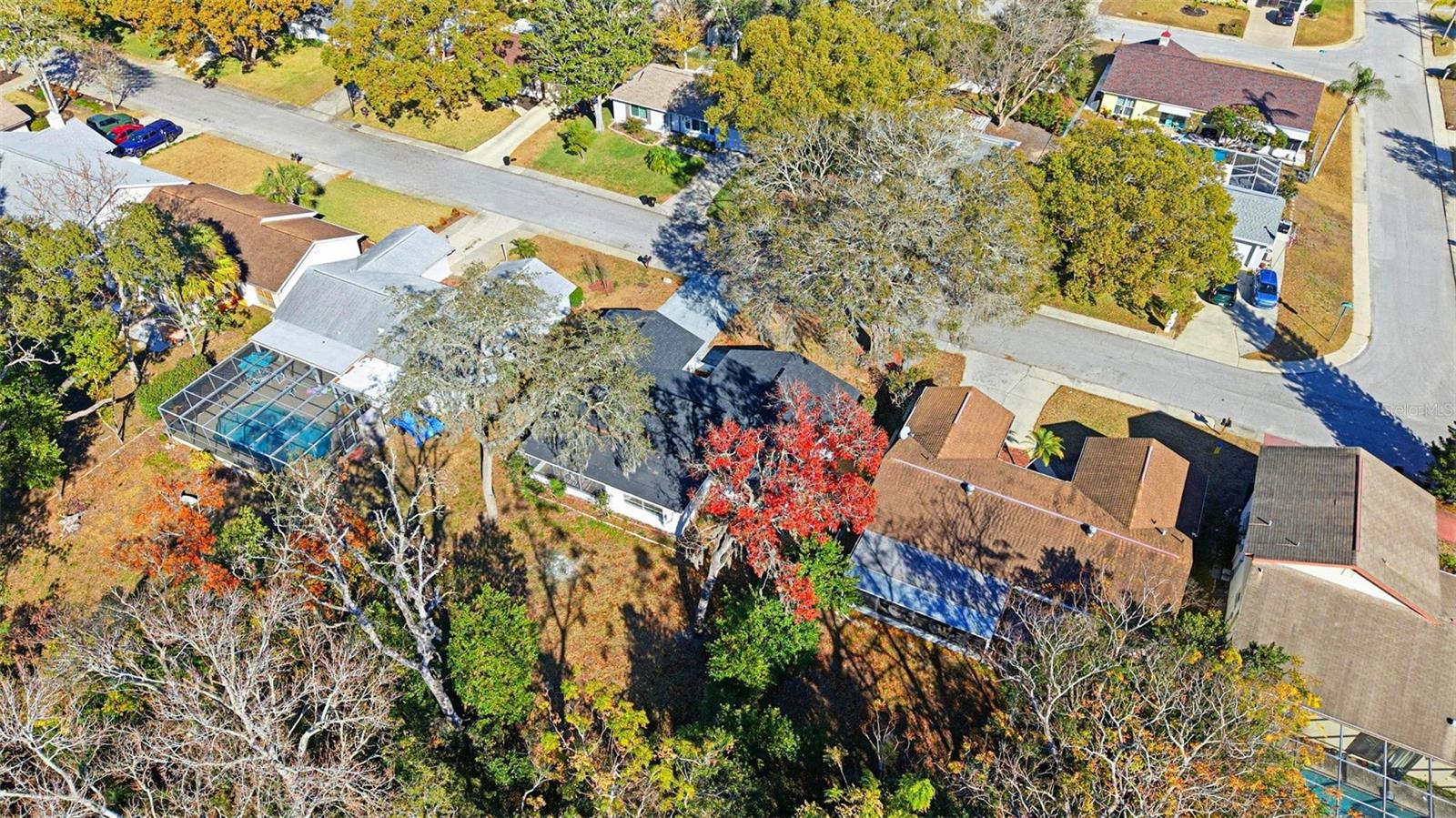 Image 55 of 64 For 12303 Camp Creek Lane