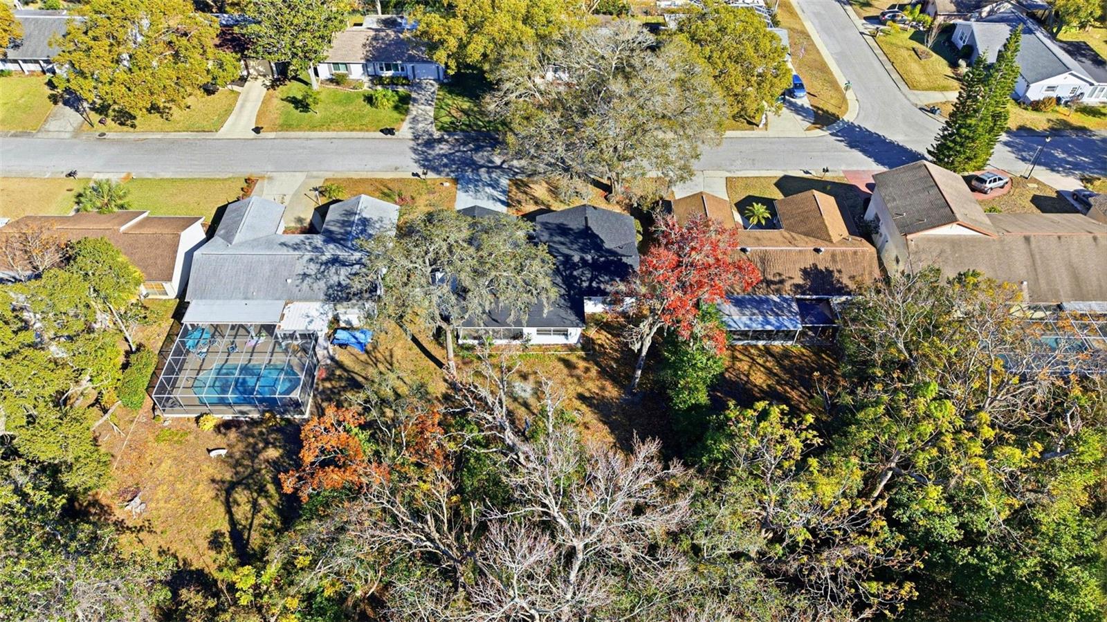 Image 56 of 64 For 12303 Camp Creek Lane