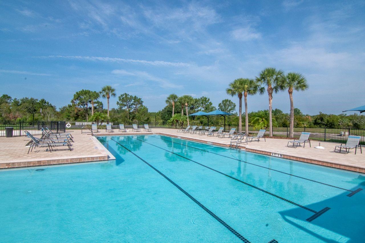 Listing photo id 33 for 5446 Suncatcher Drive