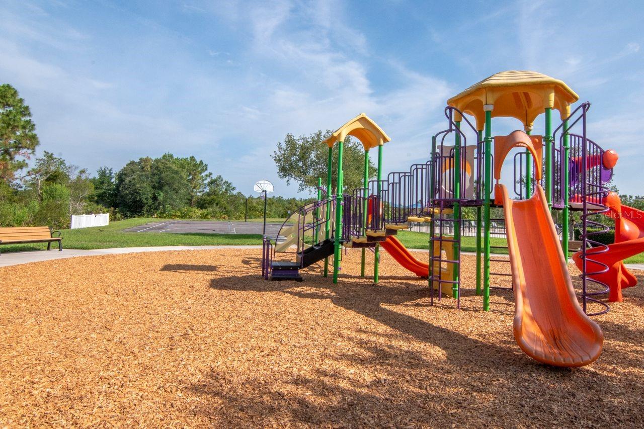 Listing photo id 34 for 5446 Suncatcher Drive