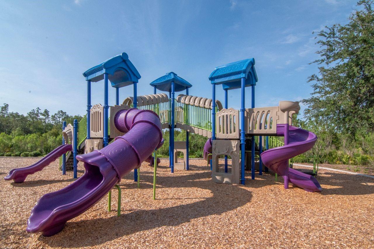 Listing photo id 39 for 5446 Suncatcher Drive