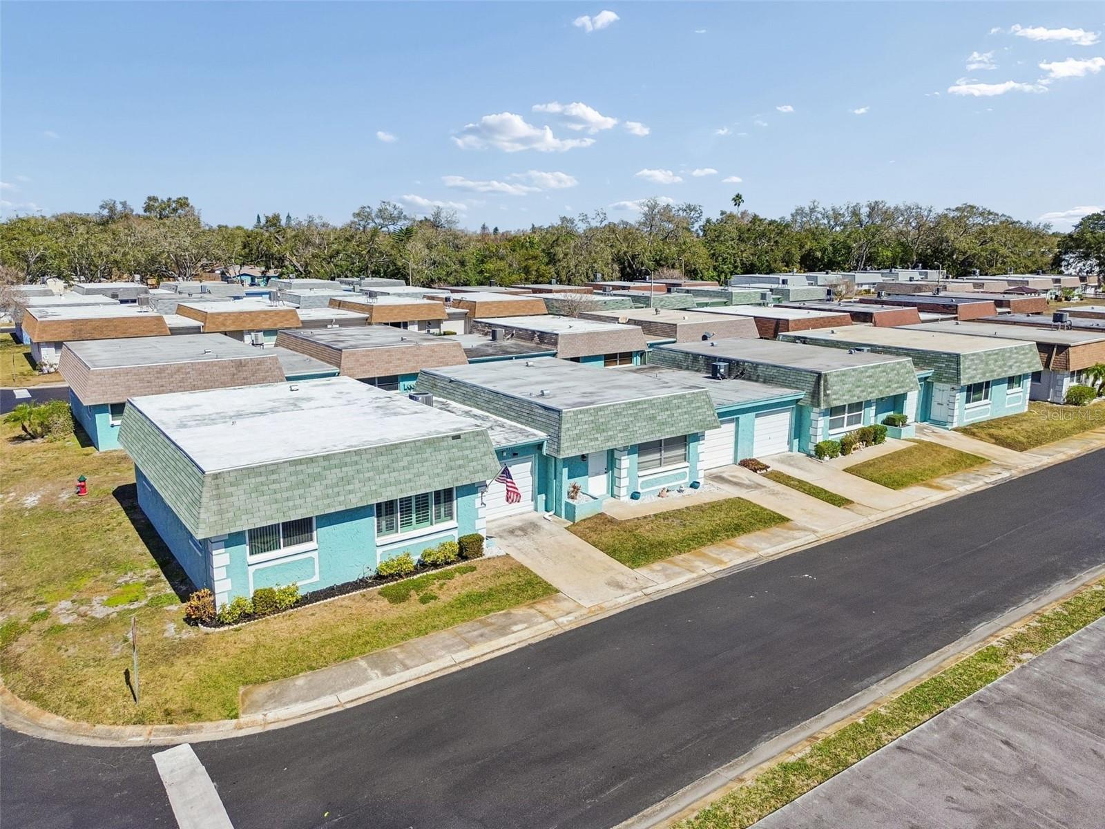 Image 48 of 72 For 6875 Monte Carlo N 6875