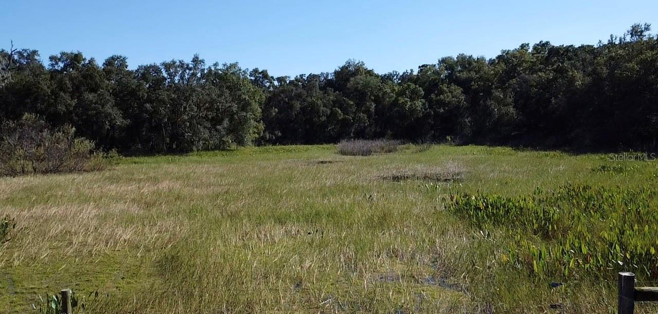 Details for  Sw 70th Ter  , BUSHNELL, FL 33513