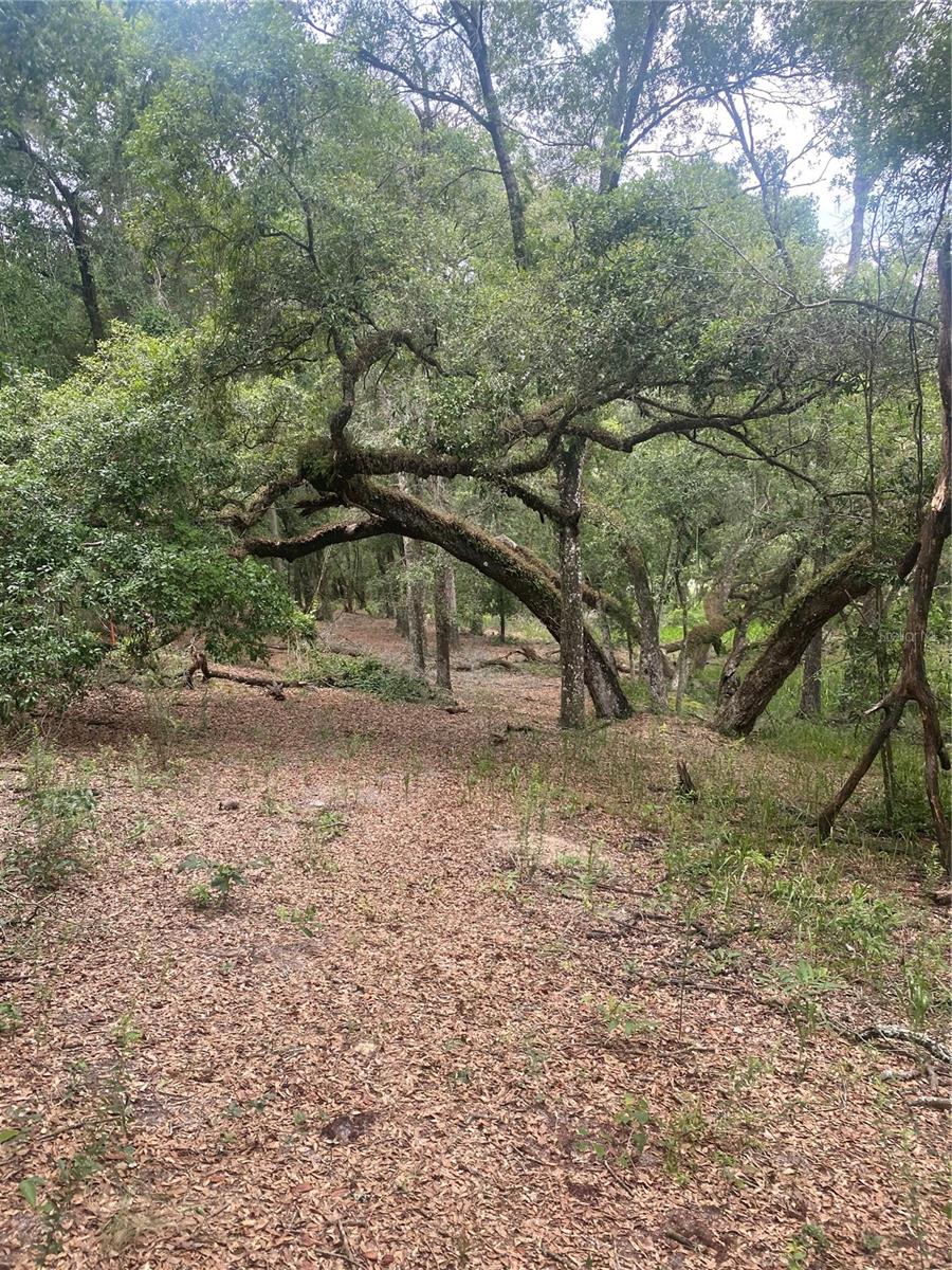 Image 14 of 17 For  Sw 70th Ter  