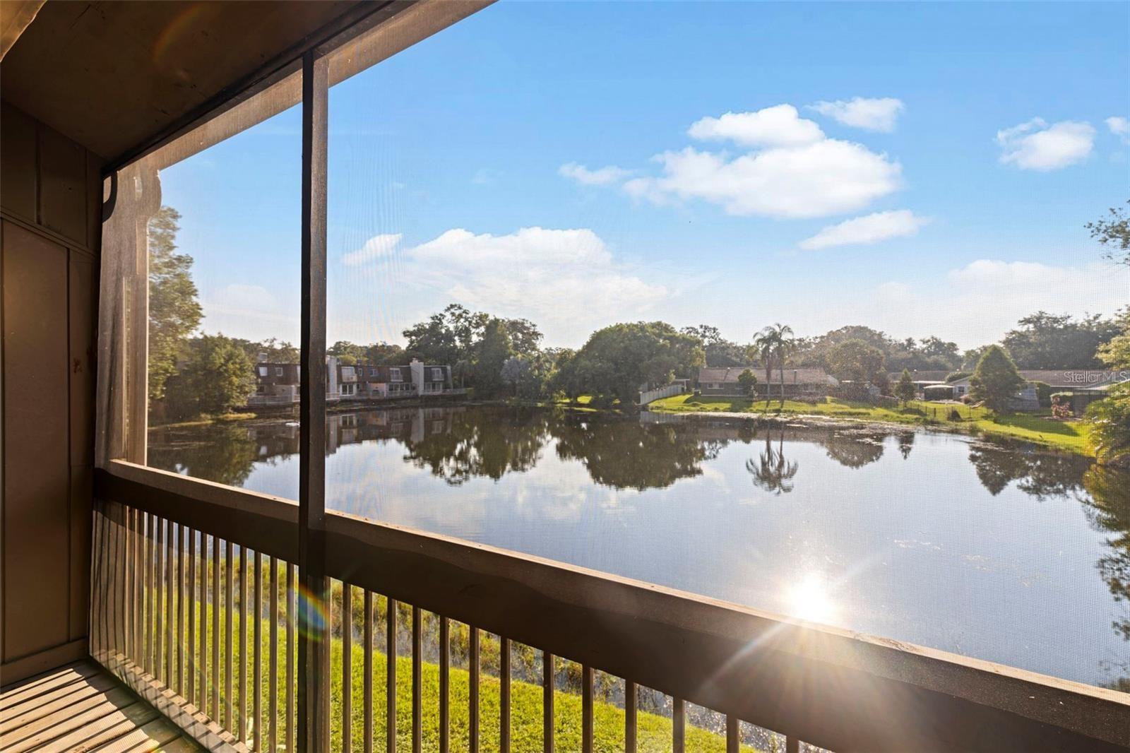 Image 17 of 21 For 10423 Carrollbrook Circle 203