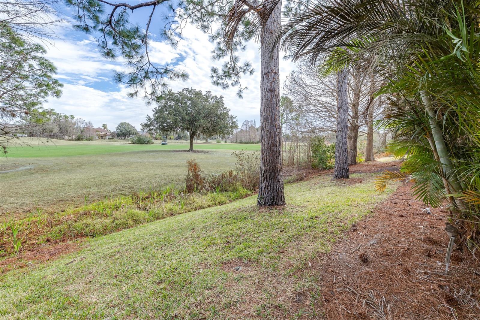 Image 45 of 67 For 3628 Valencia Cove Court