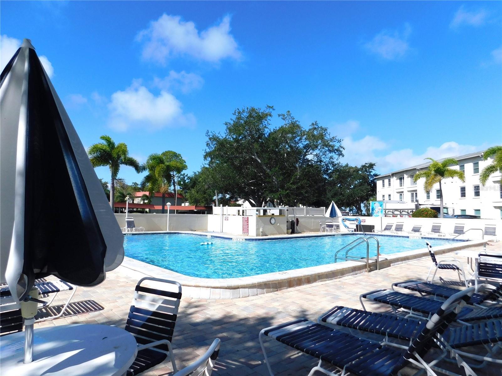 Image 63 of 70 For 2700 Bayshore Boulevard 2c