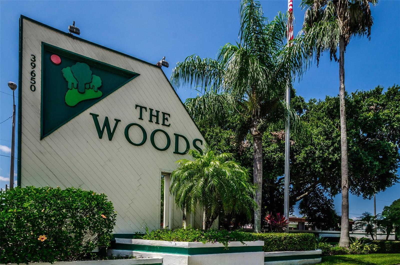 Image 29 of 37 For 39650 Us Highway 19 N 1511