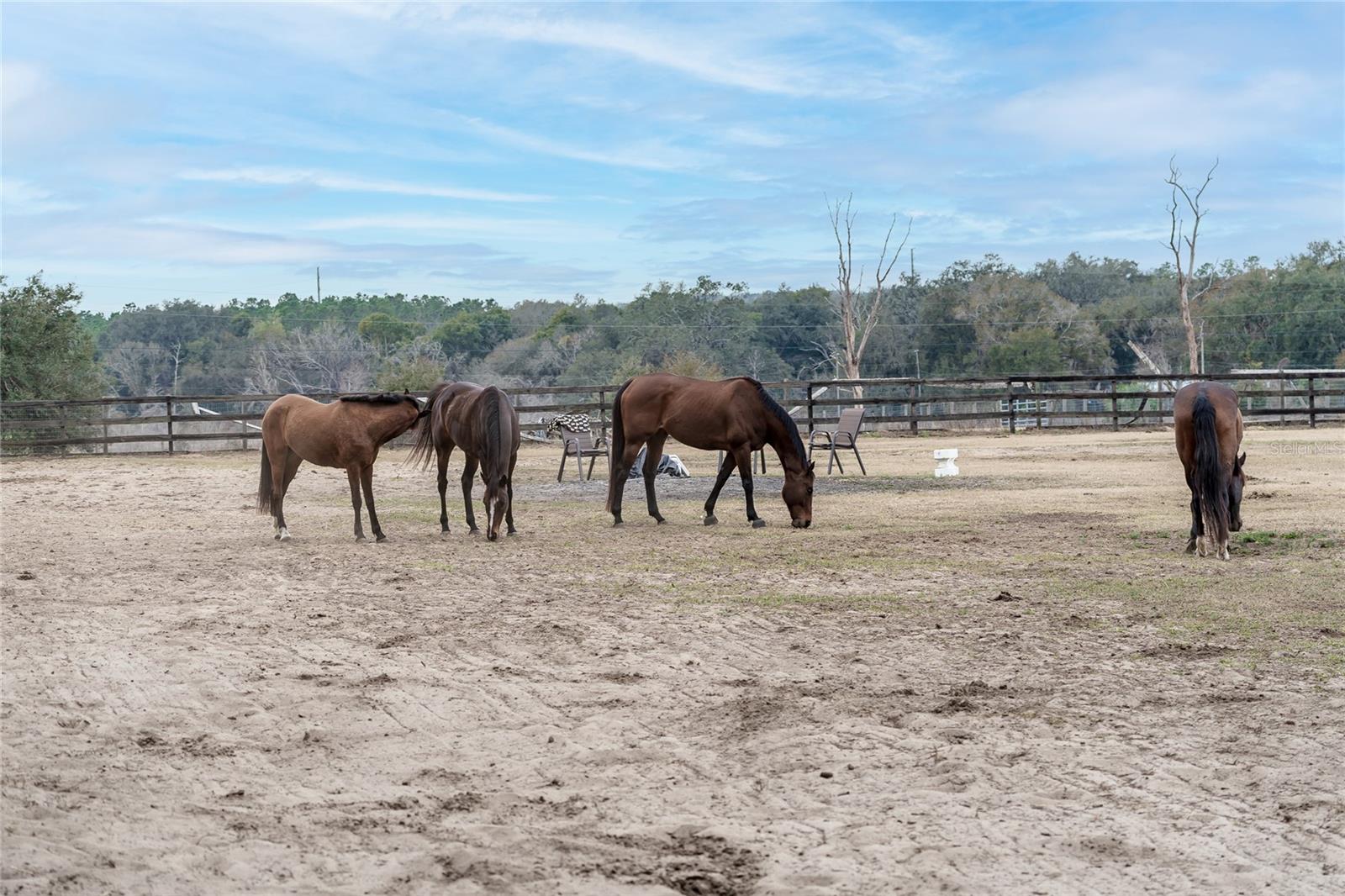 Image 34 of 76 For 8540 Boyt Road