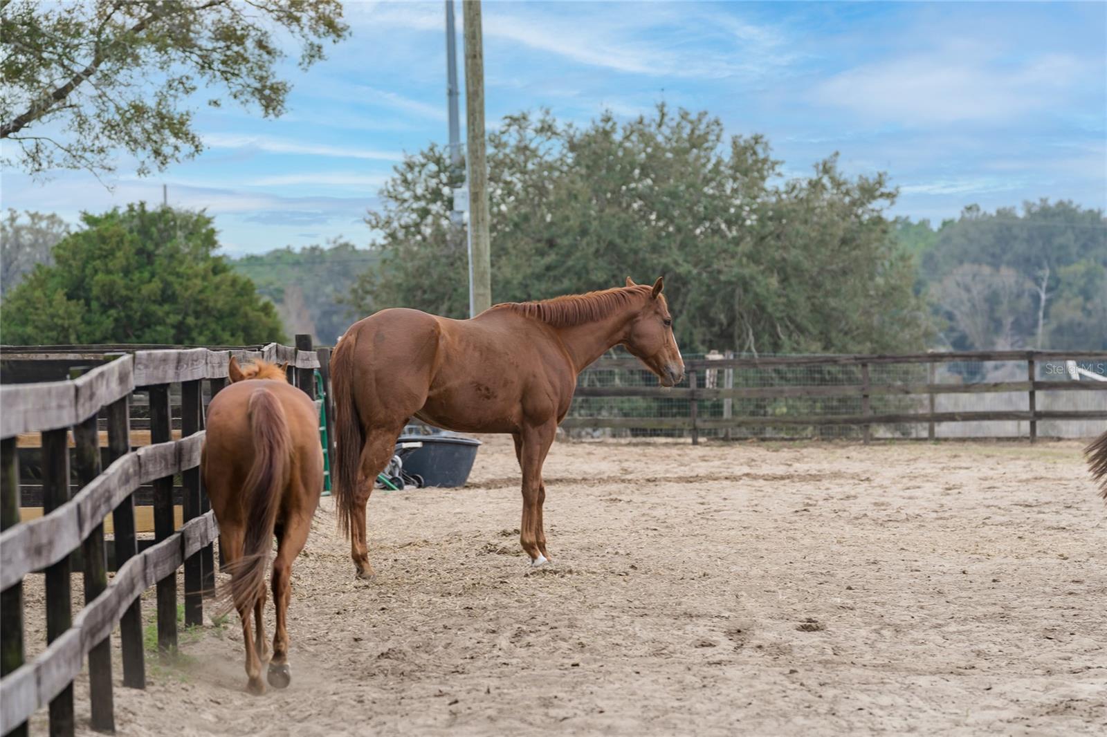 Image 35 of 76 For 8540 Boyt Road