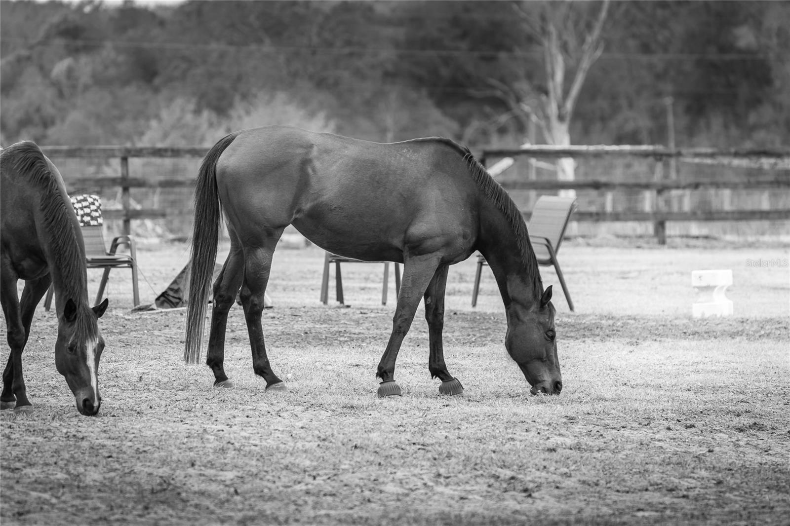 Image 37 of 76 For 8540 Boyt Road