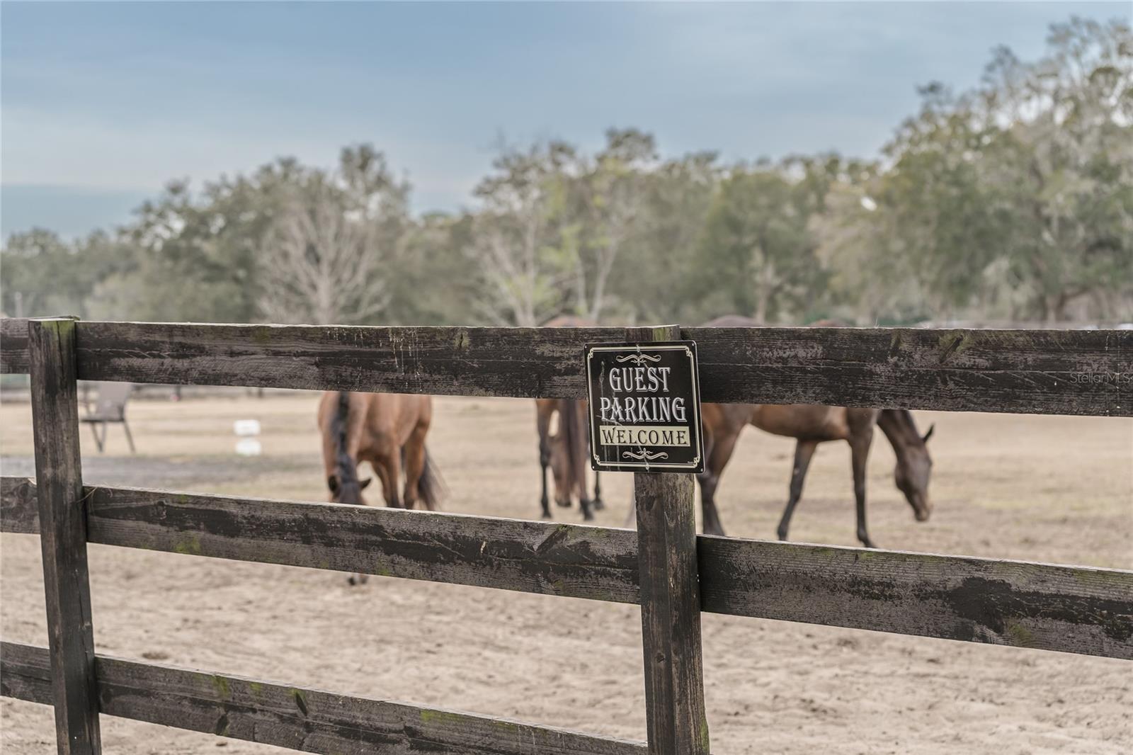 Image 38 of 76 For 8540 Boyt Road