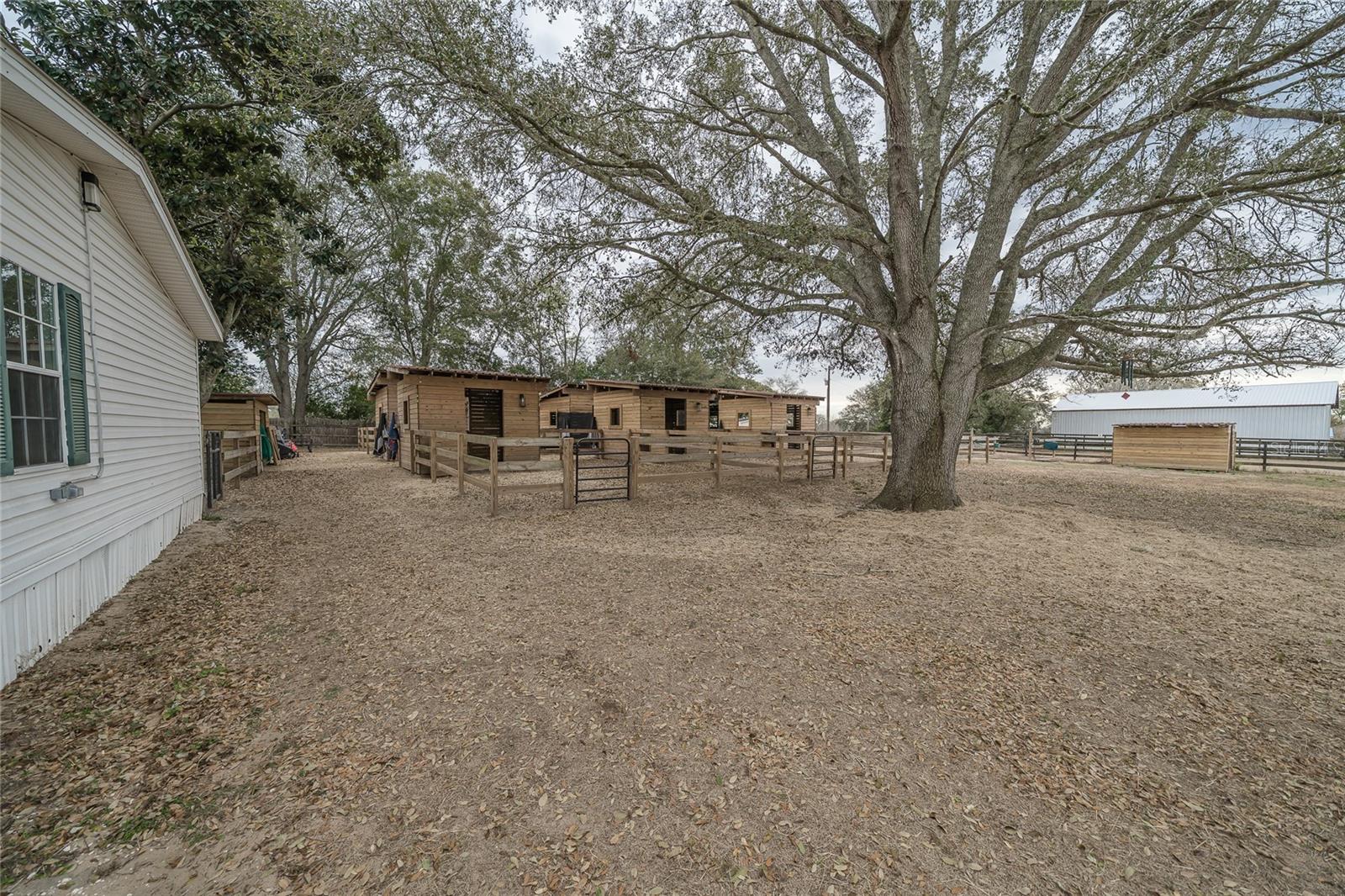 Image 39 of 76 For 8540 Boyt Road