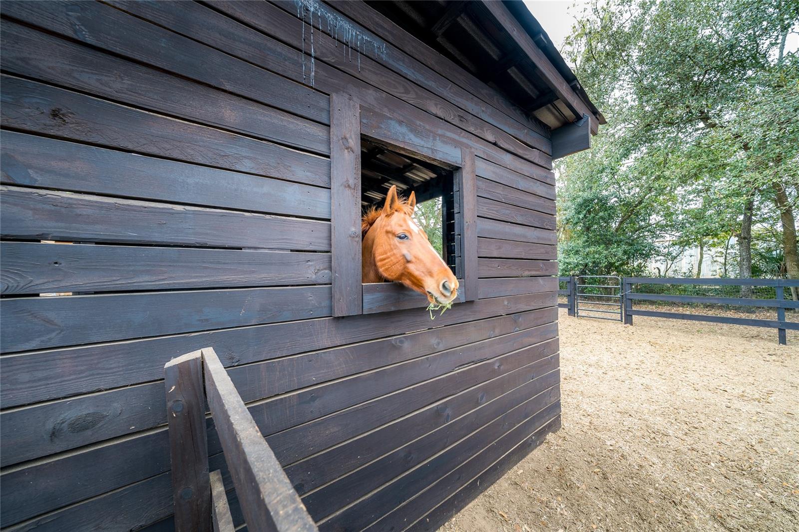 Image 74 of 76 For 8540 Boyt Road