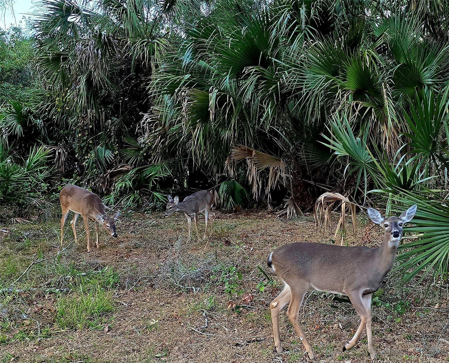 Listing photo id 47 for 811 Helmsman Way