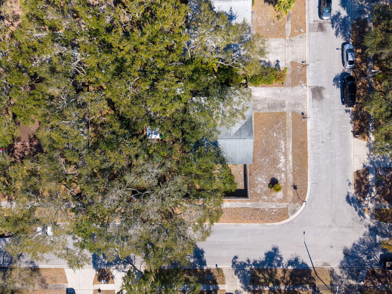 Image 50 of 58 For 2056 Red Cedar Lane E