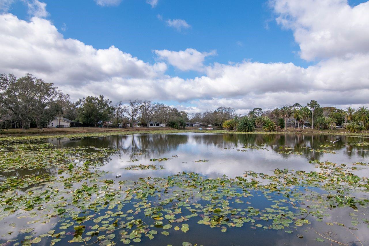 Image 44 of 51 For 17604 Fallowfield Drive